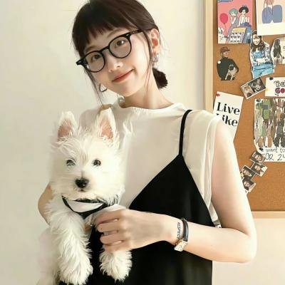 枪手佳人流浪客